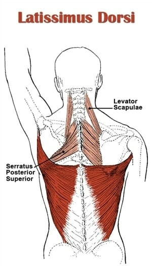 lat