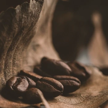 Caffeine Anhydrous Beans